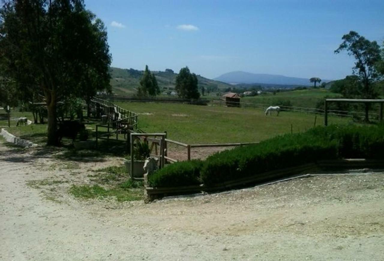 Herdade Da Hera Farm stay